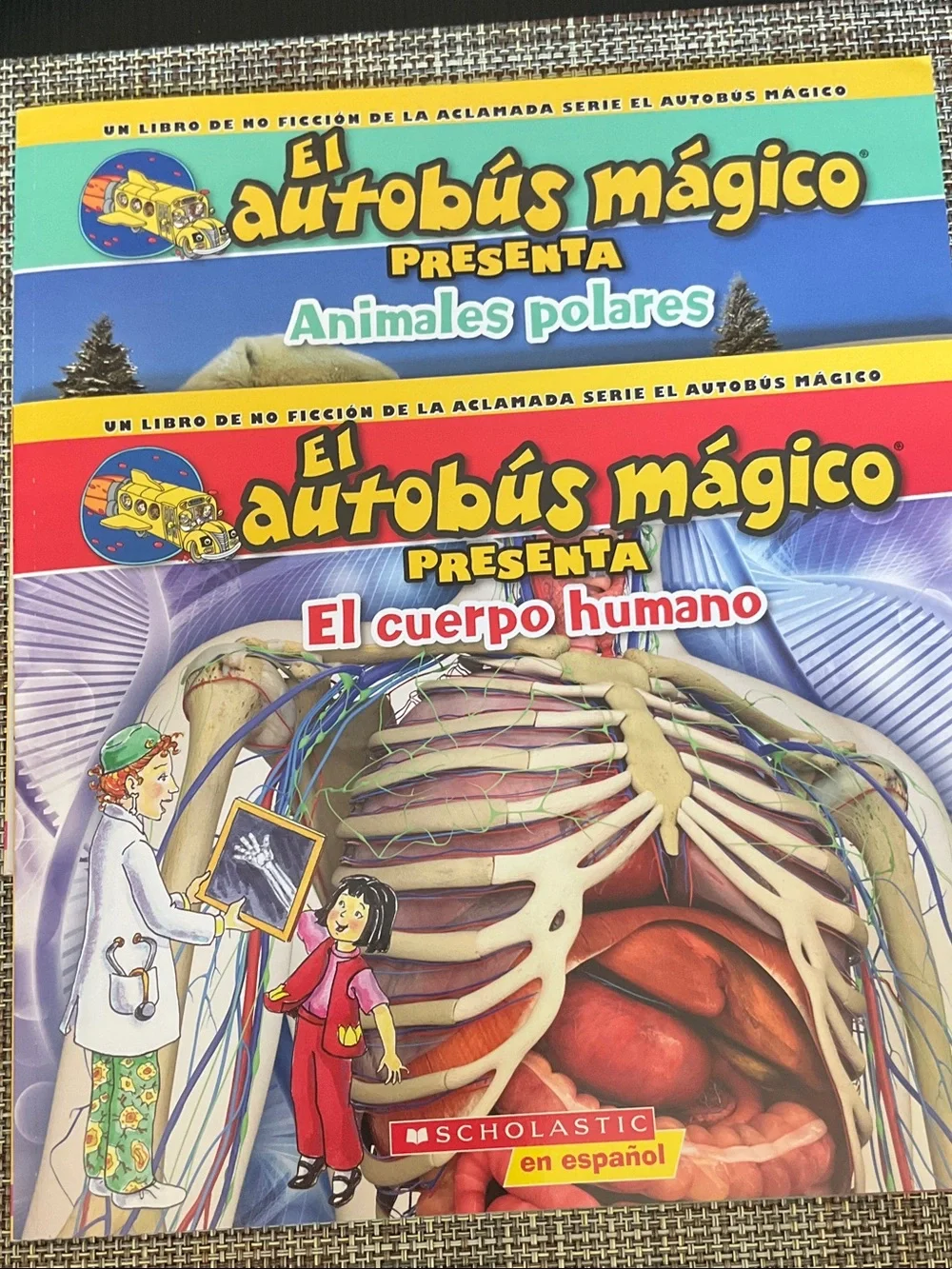 Scholastic El autobús mágico - 2 children’s books, Spanish.